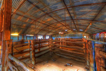 Bucklow Station - Woolshed - NSW SQ (PB5D 00 2646)